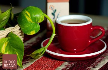 انواع دمنوش تبلیغاتی